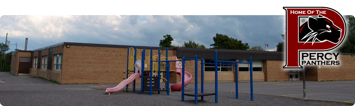 Back Primary Playground