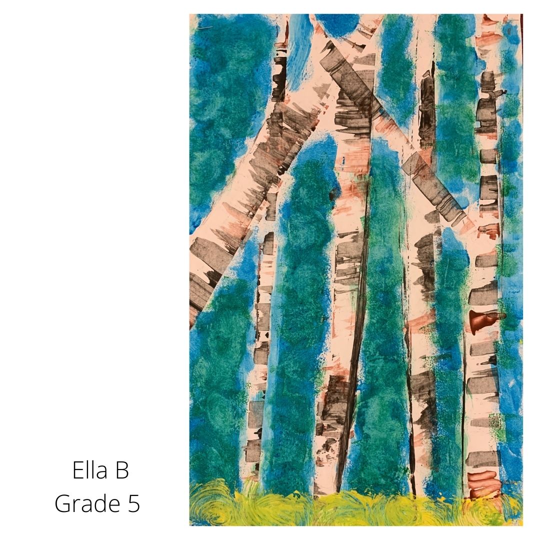birch trees